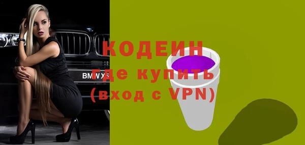 хмурый Иннополис