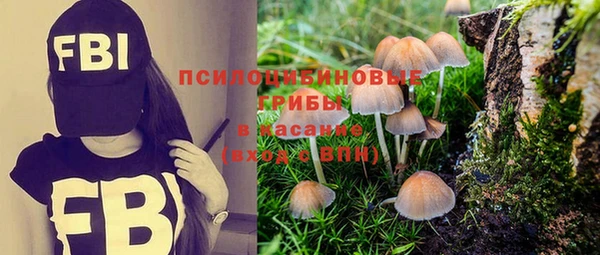 хмурый Иннополис