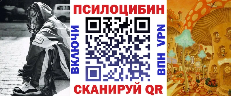 Купить где Малгобек Псилоцибиновые грибы Cubensis
